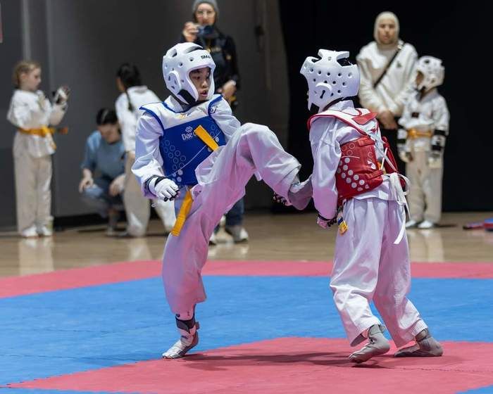 <center>An entertaining and action-packed approach to learning self-defense and combat!<center>